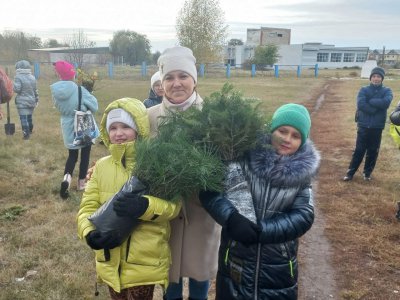 В рамках Всероссийского проекта 