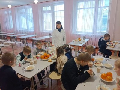 Члены муниципального Совета родителей проверили организацию питания в городских школах